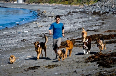 Ben Kersen and Run Club Dogs